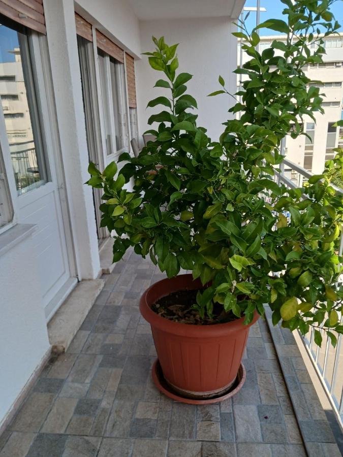 Room With Private Toilet And Terrace In City Center In Shared Apartment Split Exteriér fotografie
